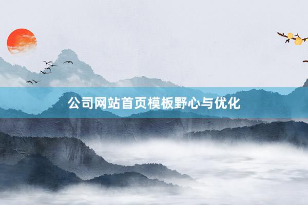 公司网站首页模板野心与优化