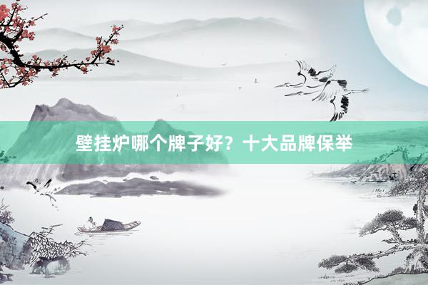 壁挂炉哪个牌子好？十大品牌保举