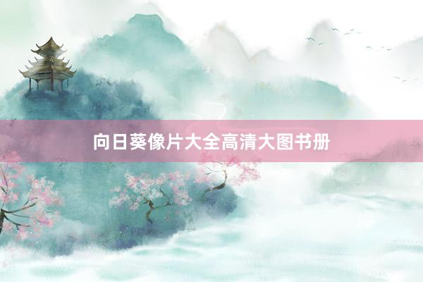 向日葵像片大全高清大图书册